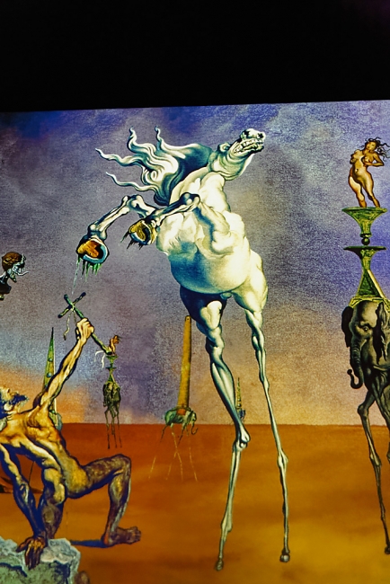 Bassins de lumières-Dali-028